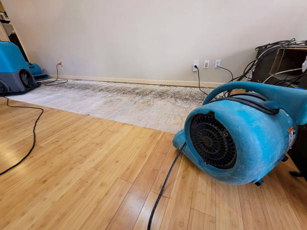 Professional Flood Damage Cleanup technician working in Kellogg, MN